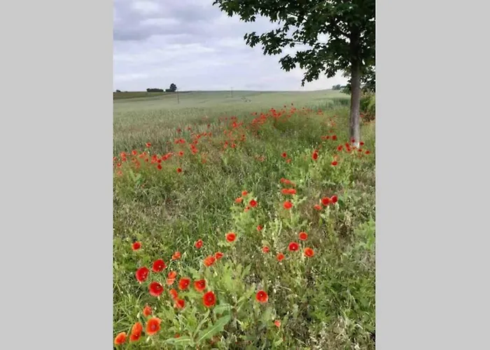 Einzigartiges Ambiente Im Scheunenloft * Kullstedt